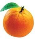 Orange Democratic Movement