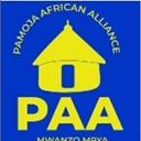 Pamoja African Alliance