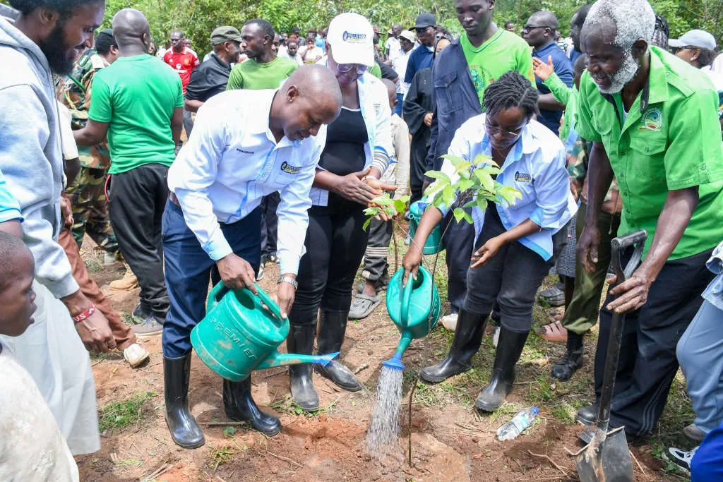 5 June 2026: World Environment Day 5 June 2026: World Environment Day
