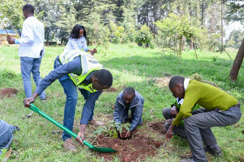 5 June 2026: World Environment Day 5 June 2026: World Environment Day