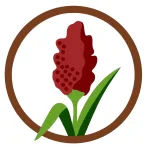 People’s Prosperity Party